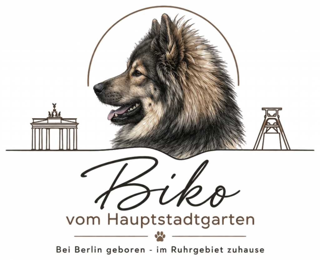 Logo von Biko