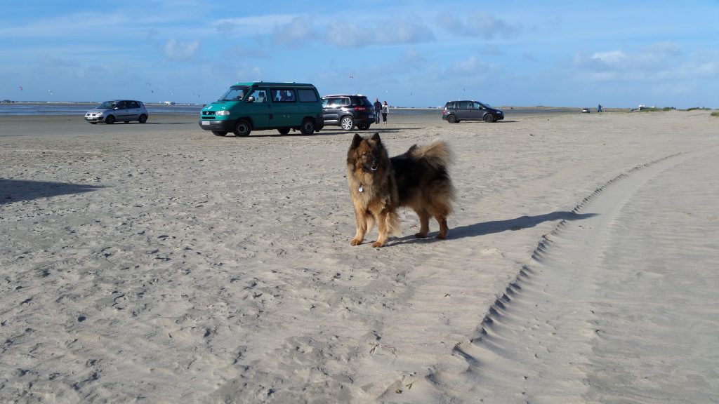 Am Strand auf Römö