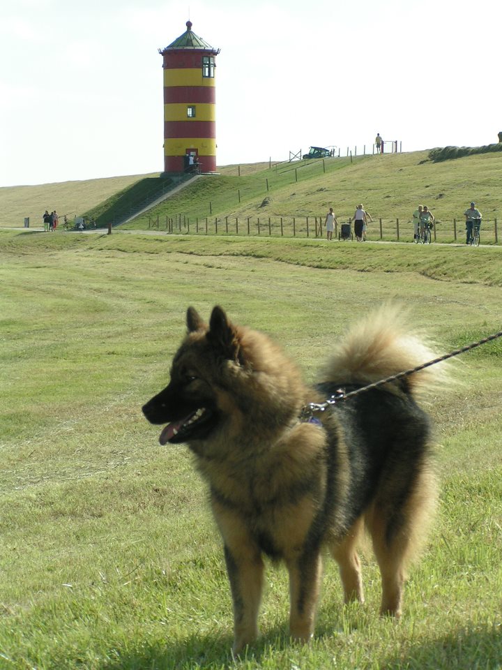 Ambra-Luna am Pilsumer Ottoturm