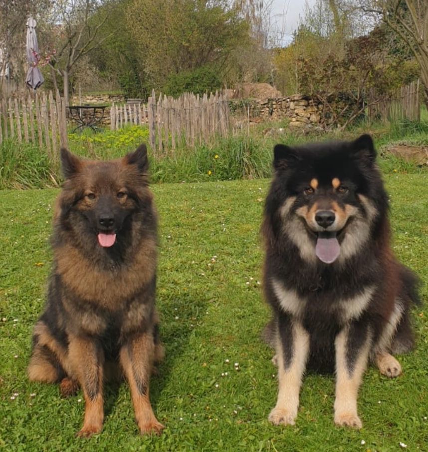 Auri und Nestor