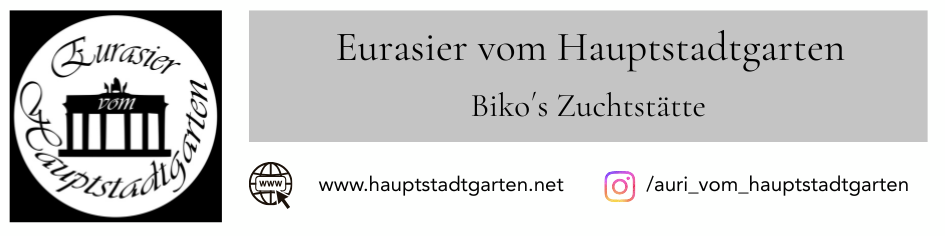 Hauptstadtgarten