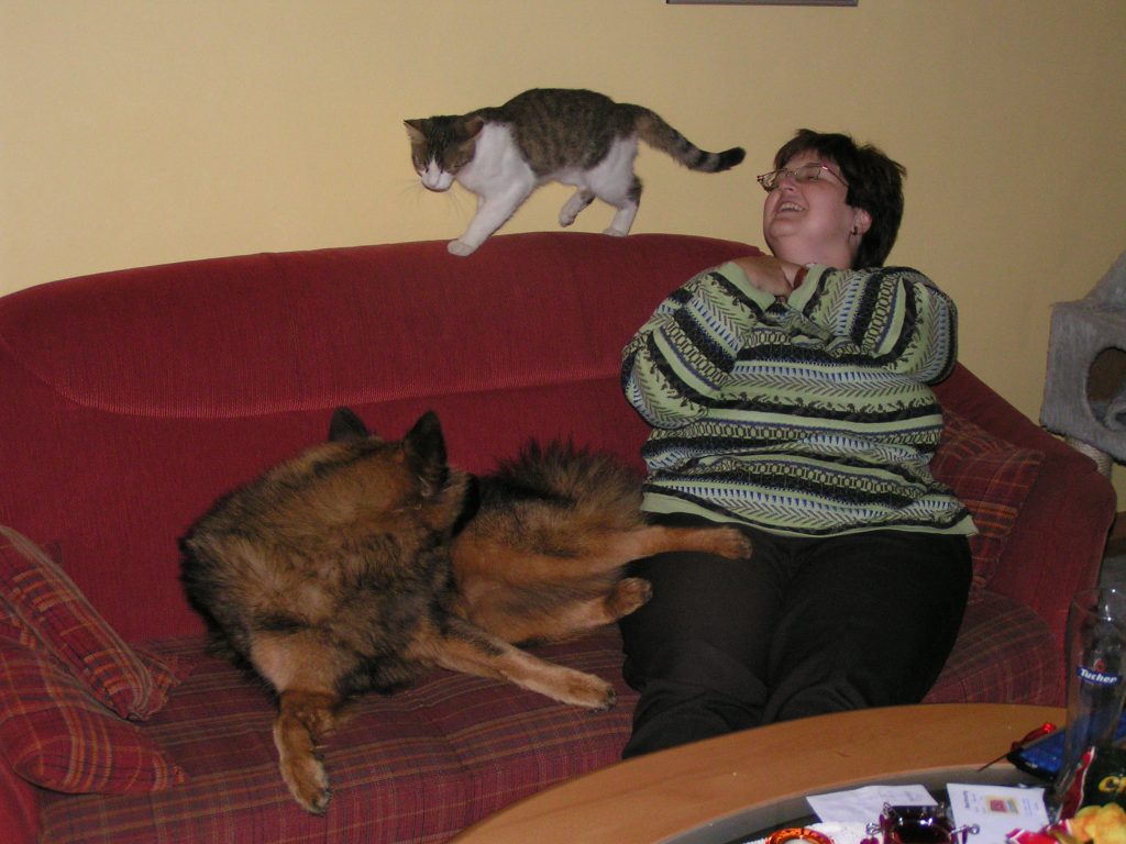 zuhause auf der Couch