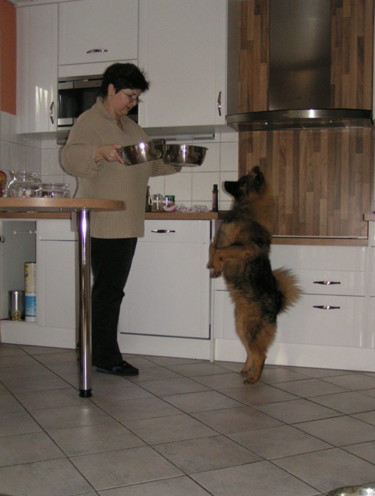 So Mama, nun gib mal endlich das Futter runter