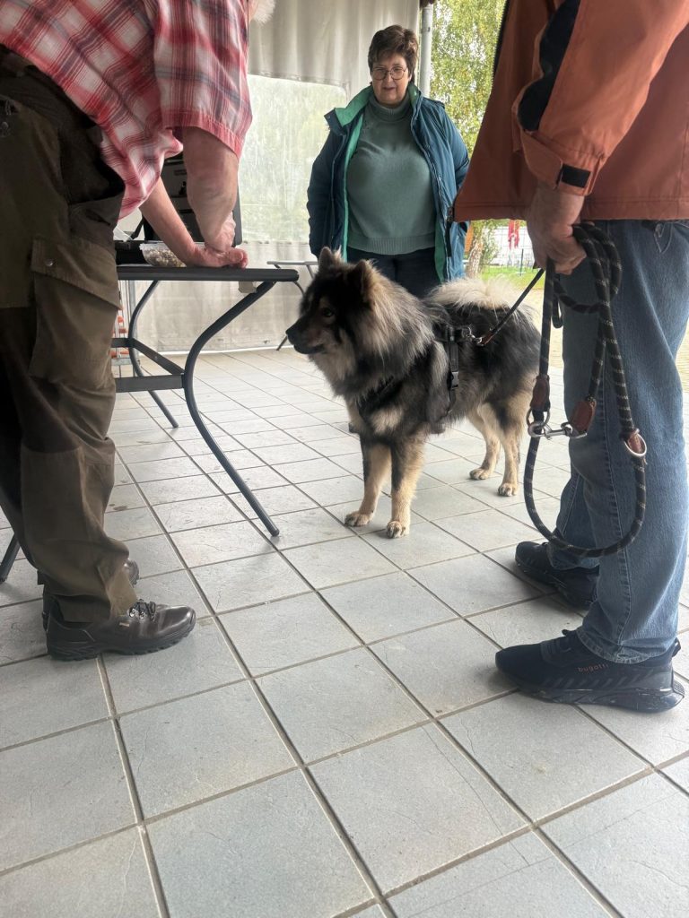 bei der Deckrüden Beurteilung