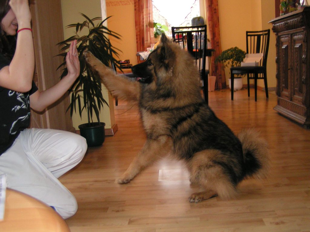 High Five