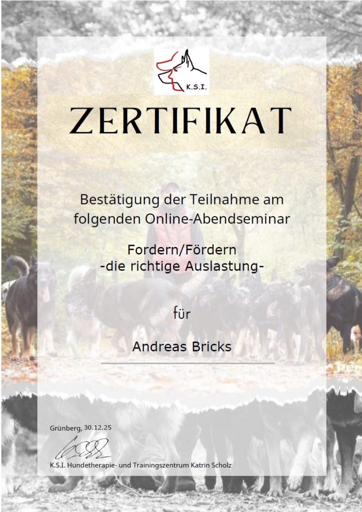 Seminar Fordern und fördern