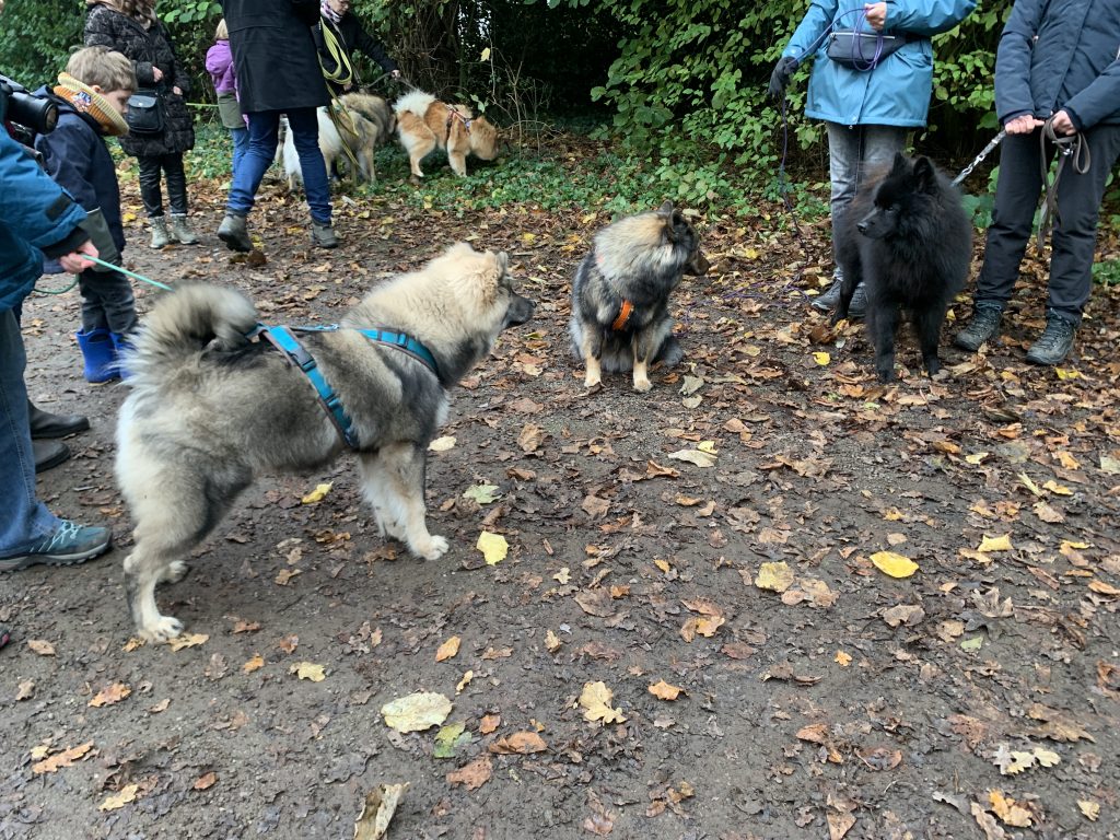 Treffen am Parkplatz