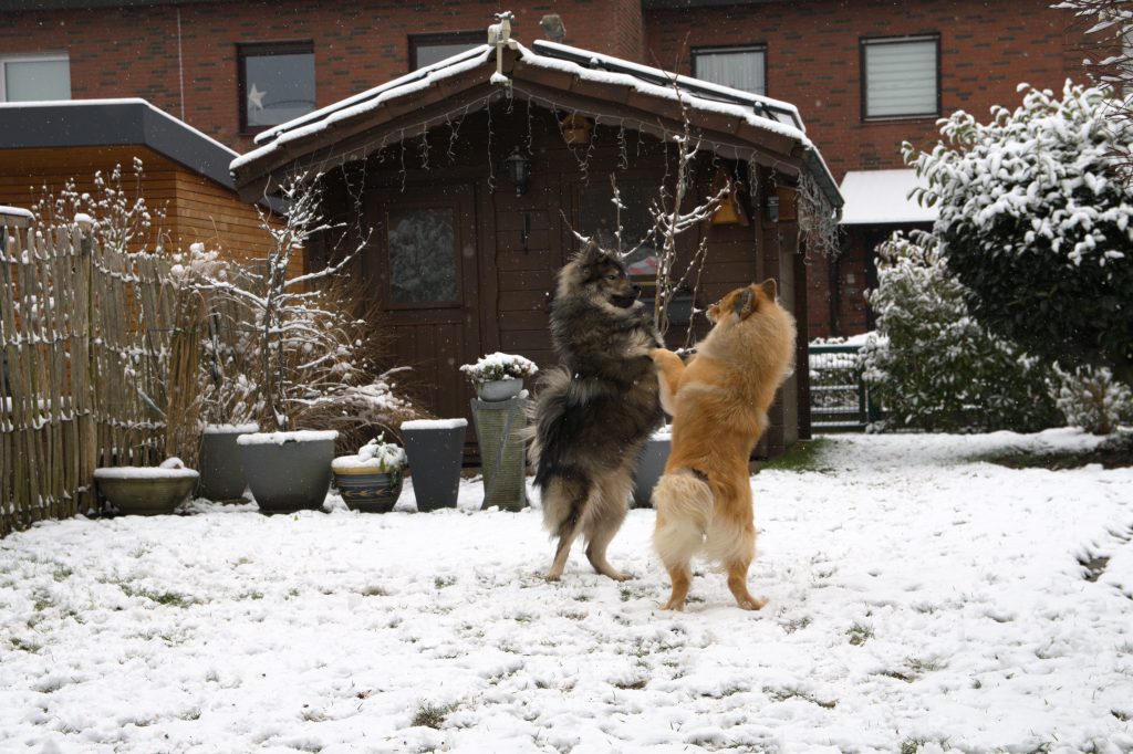Biko und Fenya beim Hochzeitstanz