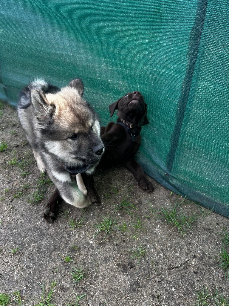 andere vermöbeln :-D