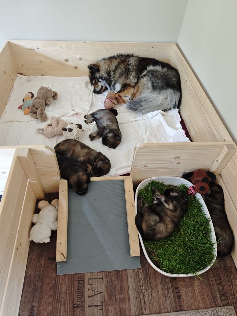 heute wird getrennt geschlafen