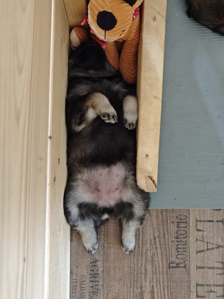 Platz ist in der engsten Nische