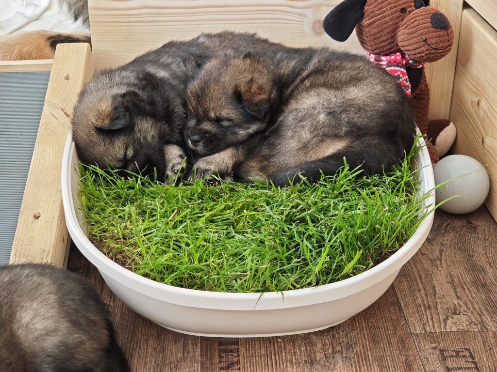 zwei würden noch passen