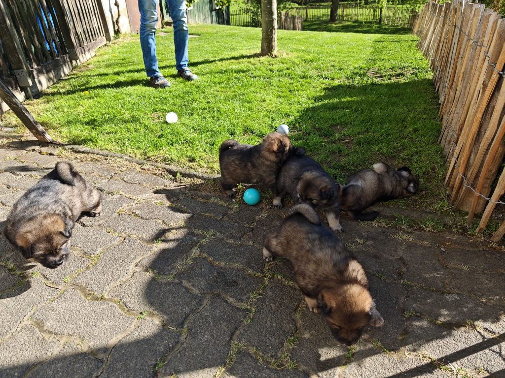 die Gratensaison ist eröffnet. Der erste Außenspaziergang