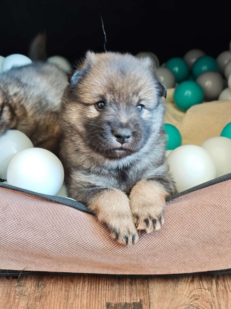 Auf dem Abenteuerspielplatz Bällebad