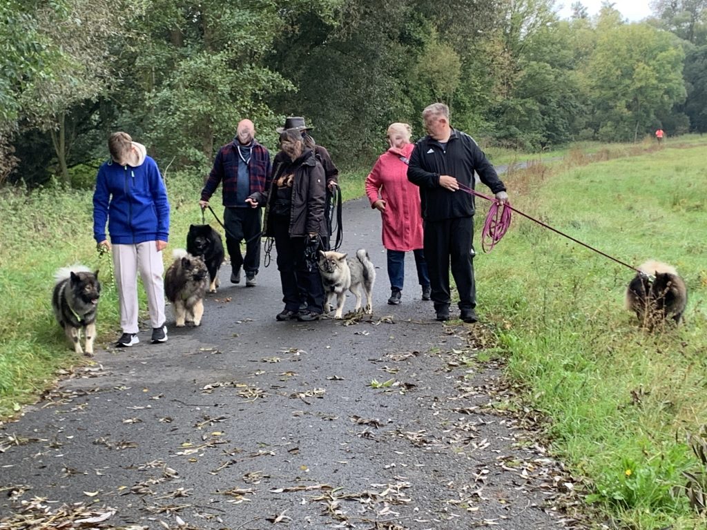 Eurasierspaziergang Alsfeld