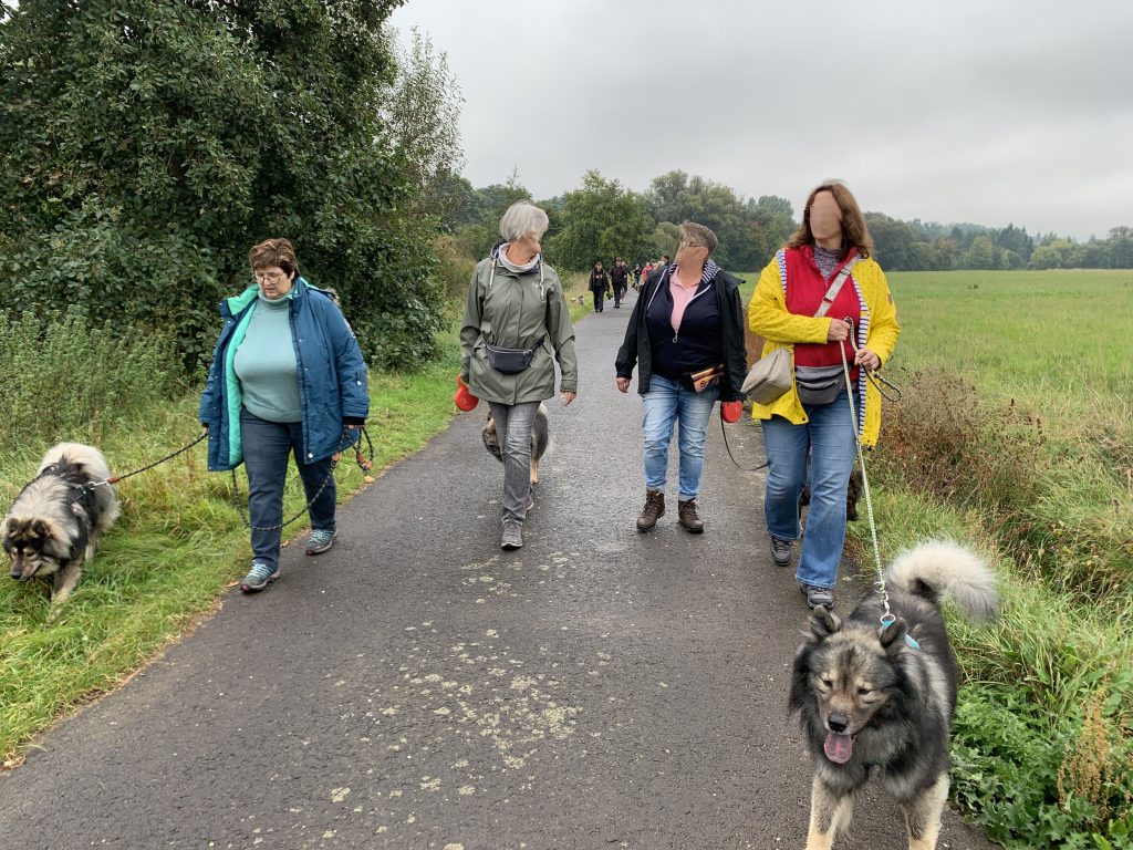 Eurasierspaziergang Alsfeld