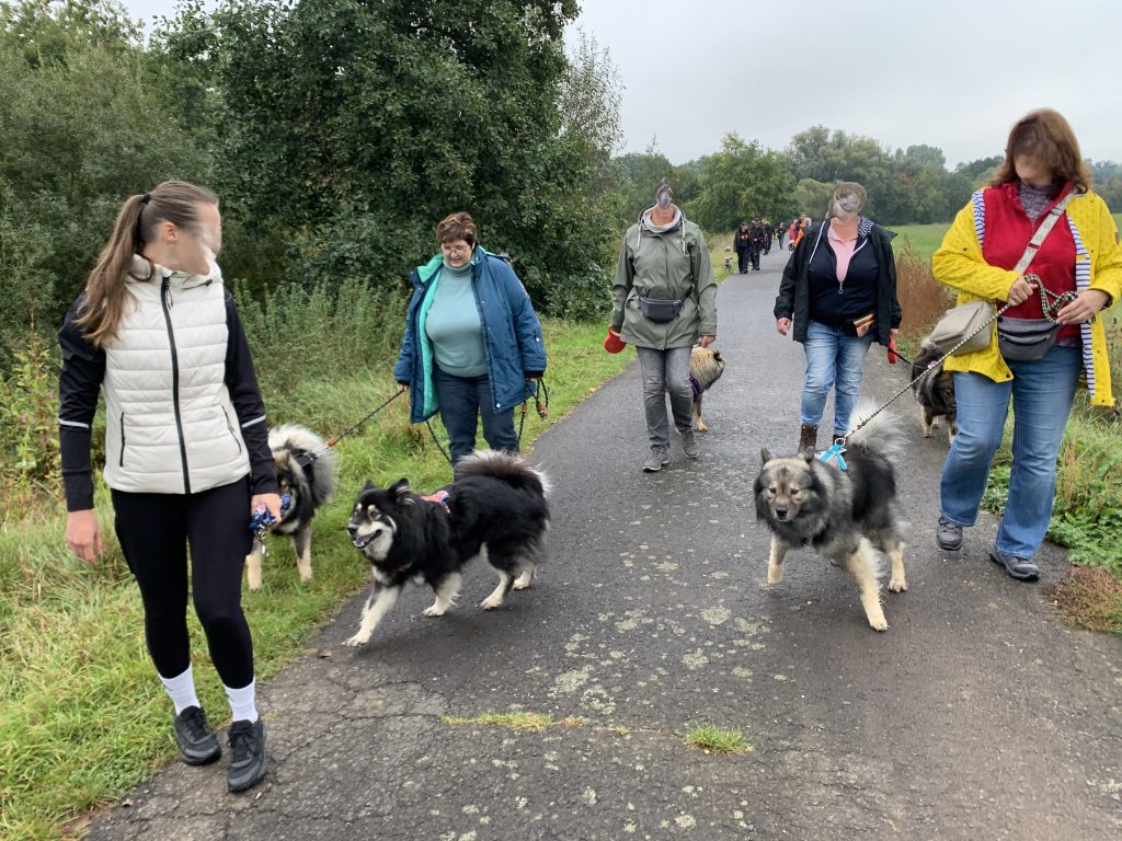 Eurasierspaziergang Alsfeld