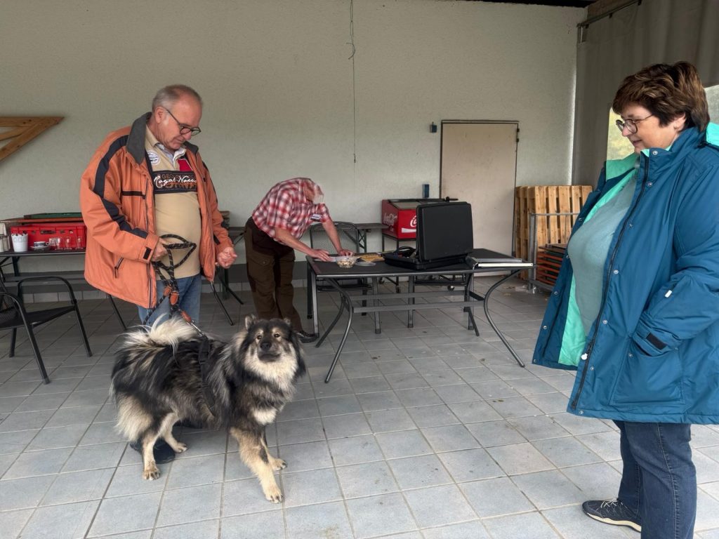 Deckrüden Beurteilung